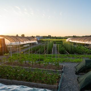 Ca' Matilde - 2