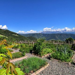 Antica Locanda al Cervo - Landgasthof zum Hirschen - 2