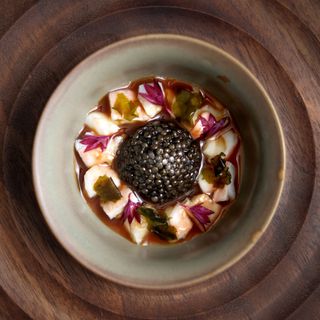 Seafood Gastro - 4