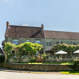 The Pheasant - 2