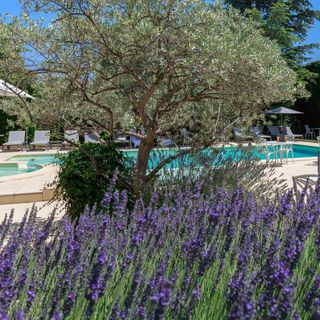 Auberge de Cassagne & Spa - Le Pontet - 10