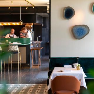 Chaga - 3