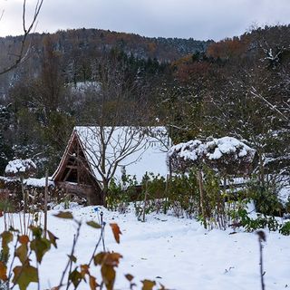 La Table du Gourmet - 3