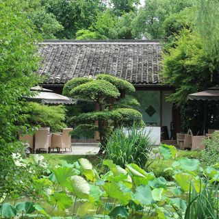 Longjing Manor - 16