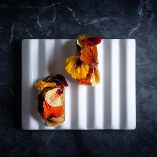 Lukas Kapeller - 6