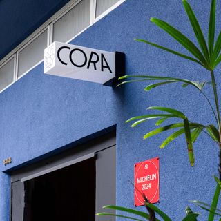 Cora - 2