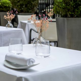 Zostera - Paris - 8