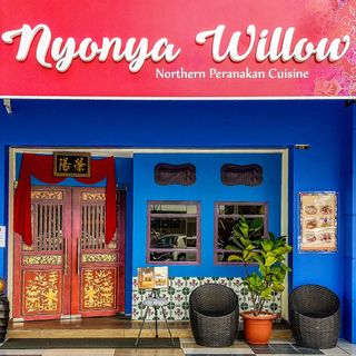 Nyonya Willow - 11