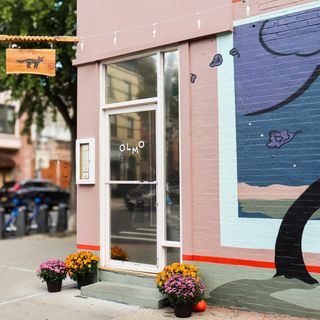 Olmo - Brooklyn - 1