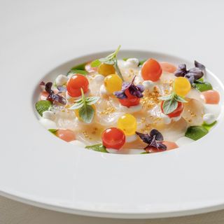 Caruso Roof Garden - 24