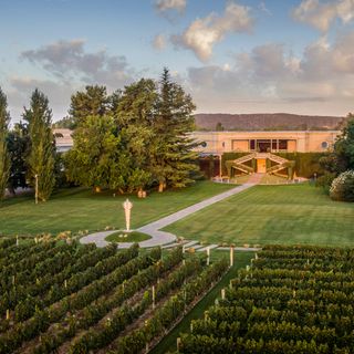 La Vid - Bodega Norton - 2