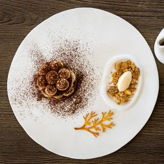 Cavalluccio Marino - 10