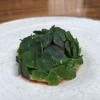 alchemilla - 4