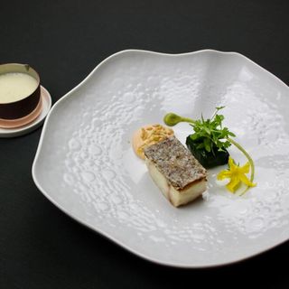 L'Huitrier Pie - 8