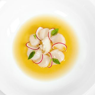 Nostrano - 23
