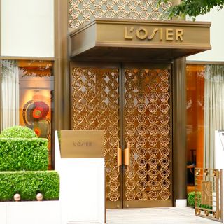 L'OSIER - 3