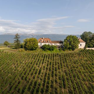 Domaine de Châteauvieux - 13