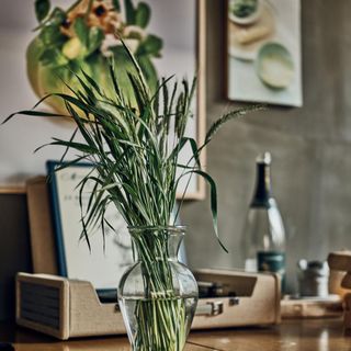 The Green Table - 7