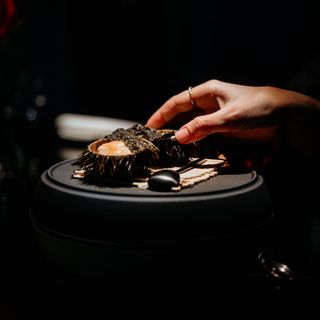 Schwitzer's Gourmet-Restaurant - 10