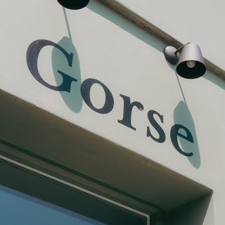 Gorse - 8