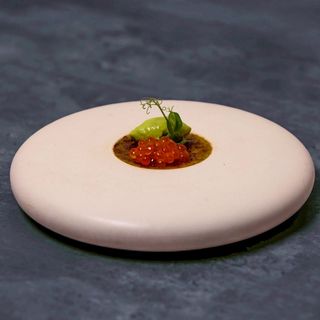 Lyla - 3