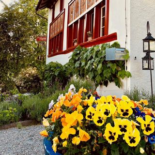 Zum Pflugstein - Erlenbach - 4