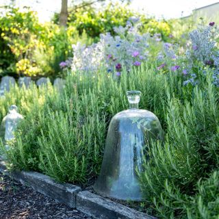 Les Jardins Sauvages - La Grée des Landes - 6
