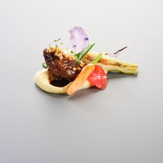Bären - 8
