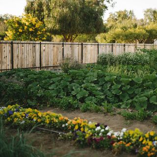 Olivea Farm to Table - 2