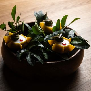 Orma Roma - 10