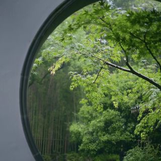 Sweet Spring - 1