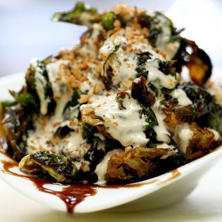 Tanoreen - 4