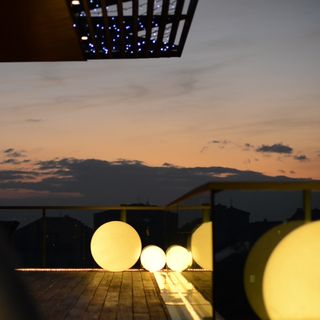 Roof Garden - 3