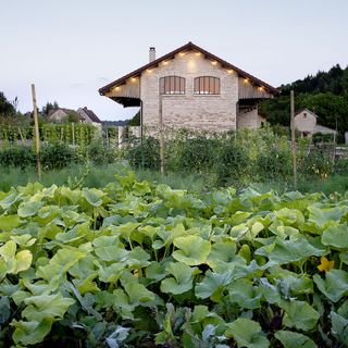 Le Garde Champêtre - 1