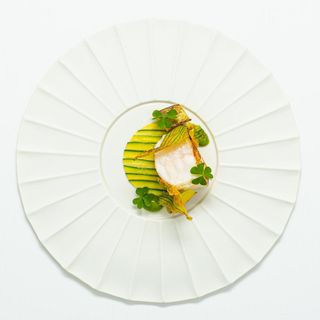 Trattoria contemporanea - 8