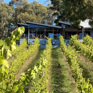 Mt Lofty Ranges Vineyard - 2