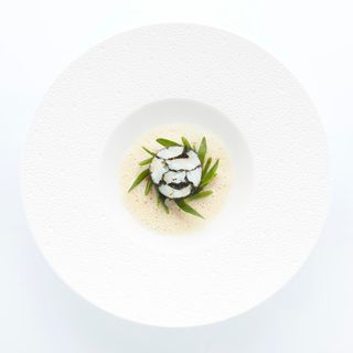Cocotte - 16