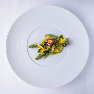 Barbagianni - 5