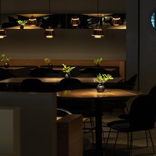Cosme - 8