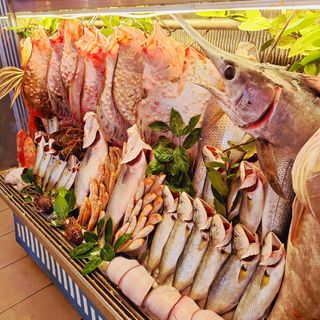 Calipso Fish - 3