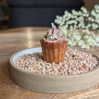 Pignut & The Hare - 8