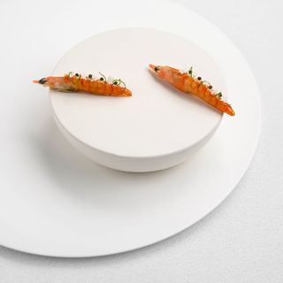 Ensue - 2