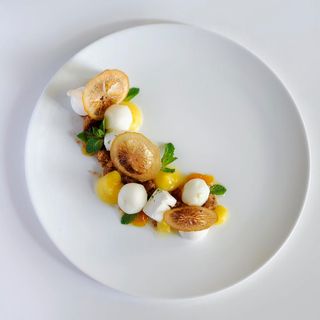 La Canopée - 11