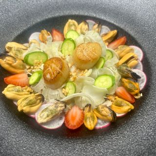 Acqua Pazza - 2