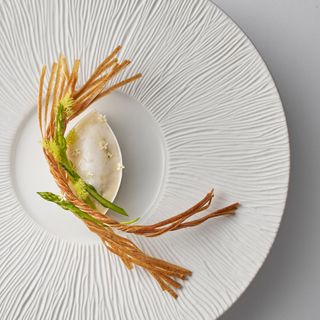 L'Oiseau Blanc - 18