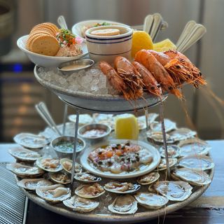 Found Oyster - 0