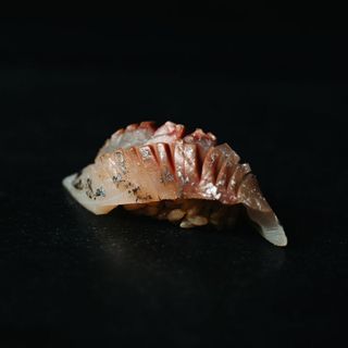 Silvers Omakase - 7