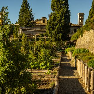 Campo del Drago - 2