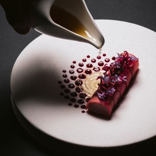 Tuna - 11