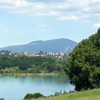 La Fine Fourchette - 7